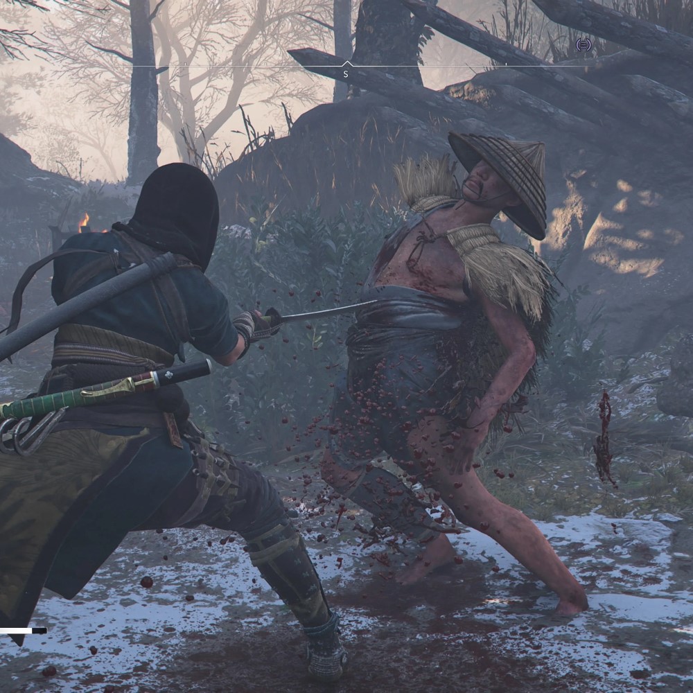 Naoe_Killing_Outlaw